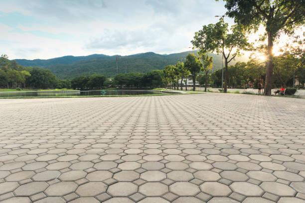 Best Local Driveway Pavers  in Sudley, VA